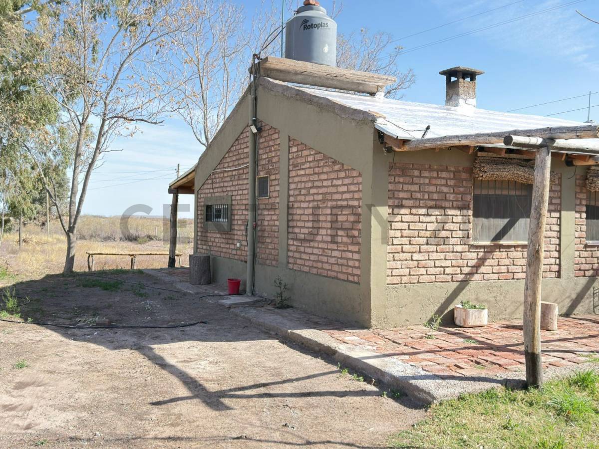 Terreno en Venta en Lavalle, Mendoza