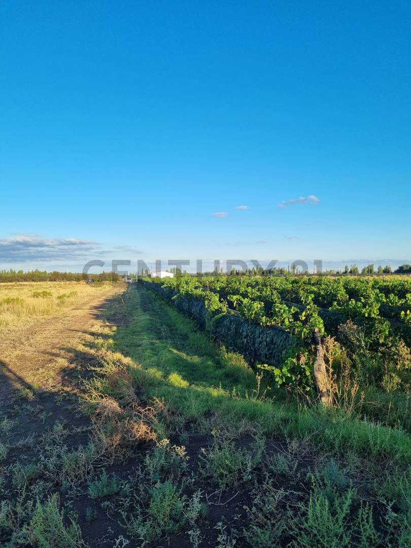 Casa Quinta en Venta en San Rafael, Mendoza