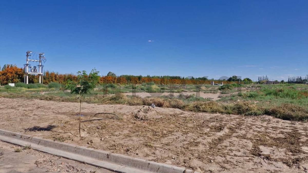 Terreno en Venta en Lujan de Cuyo, Mendoza