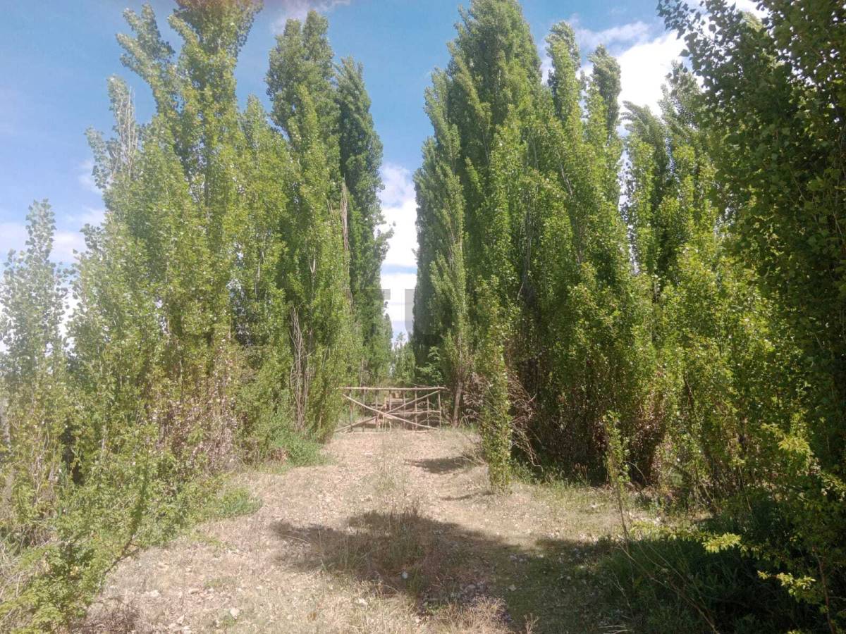 Campo en Venta en Tunuyan, Mendoza
