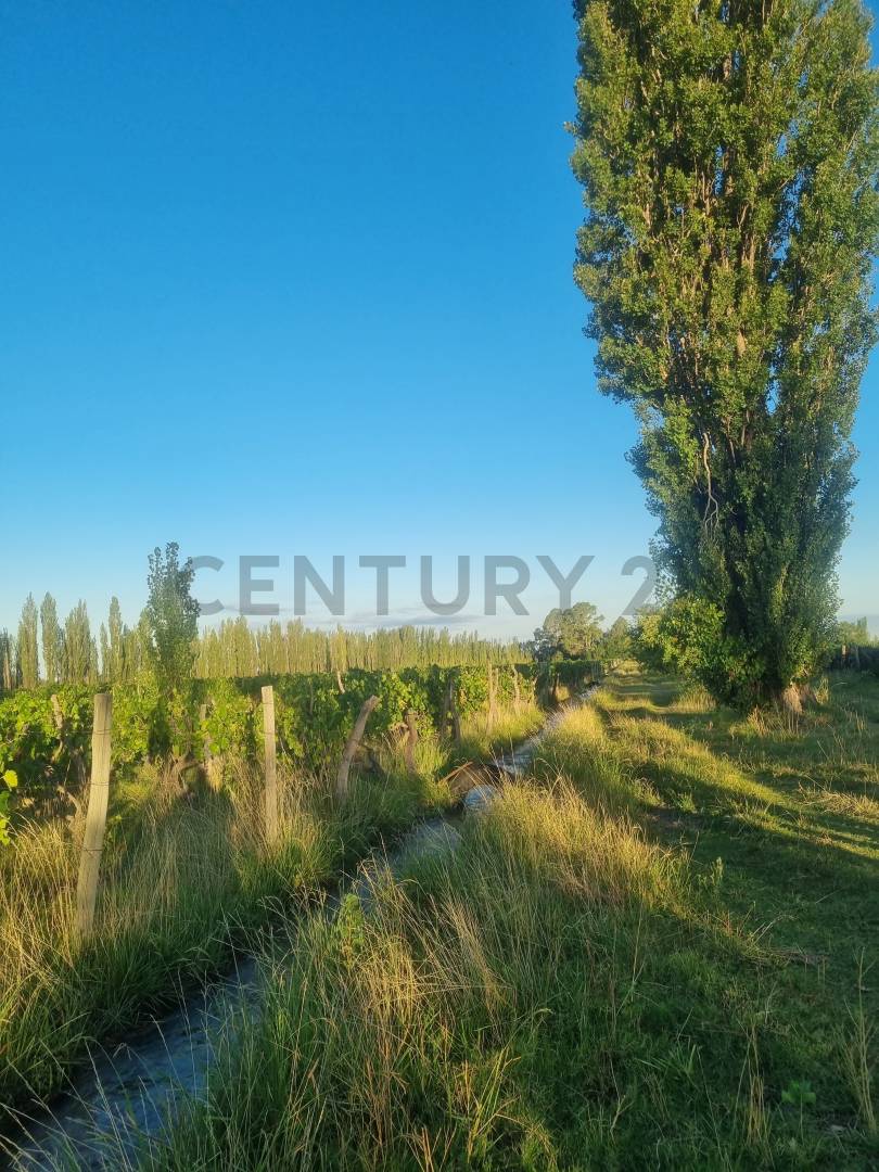 Casa Quinta en Venta en San Rafael, Mendoza