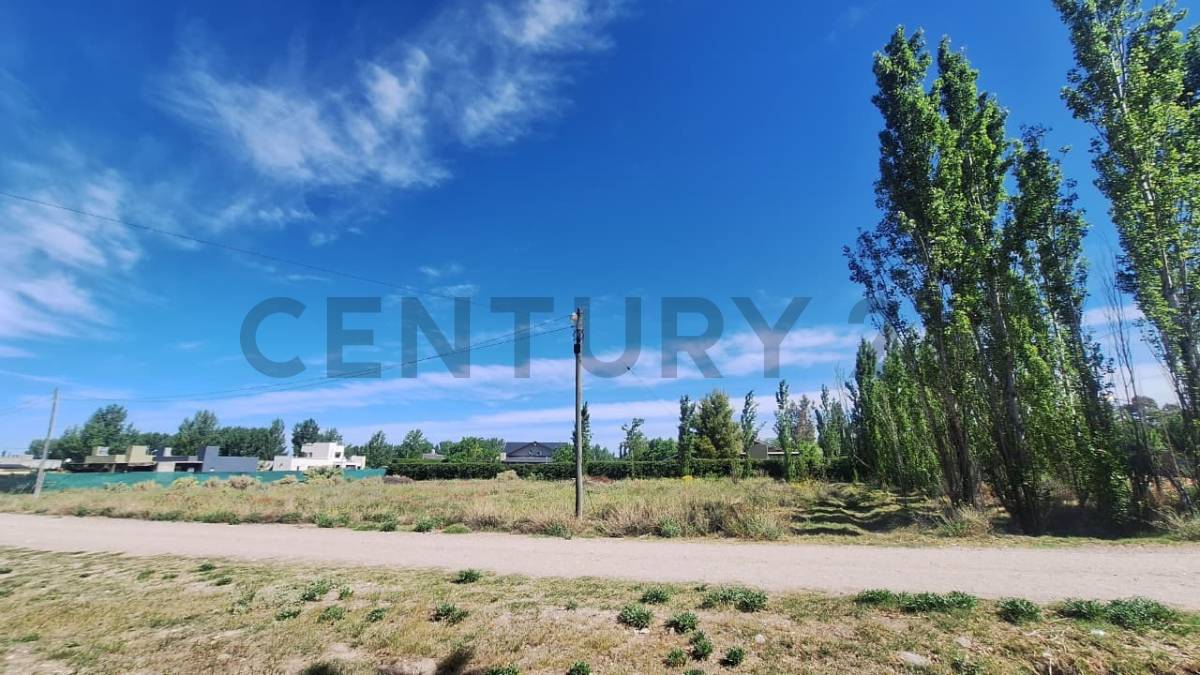 Terreno en Venta en San Rafael, Mendoza