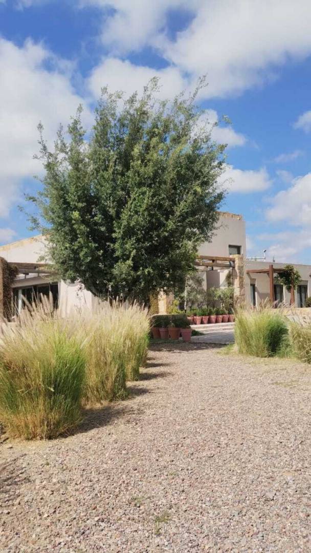 Terreno en Venta en Lujan de Cuyo, Mendoza