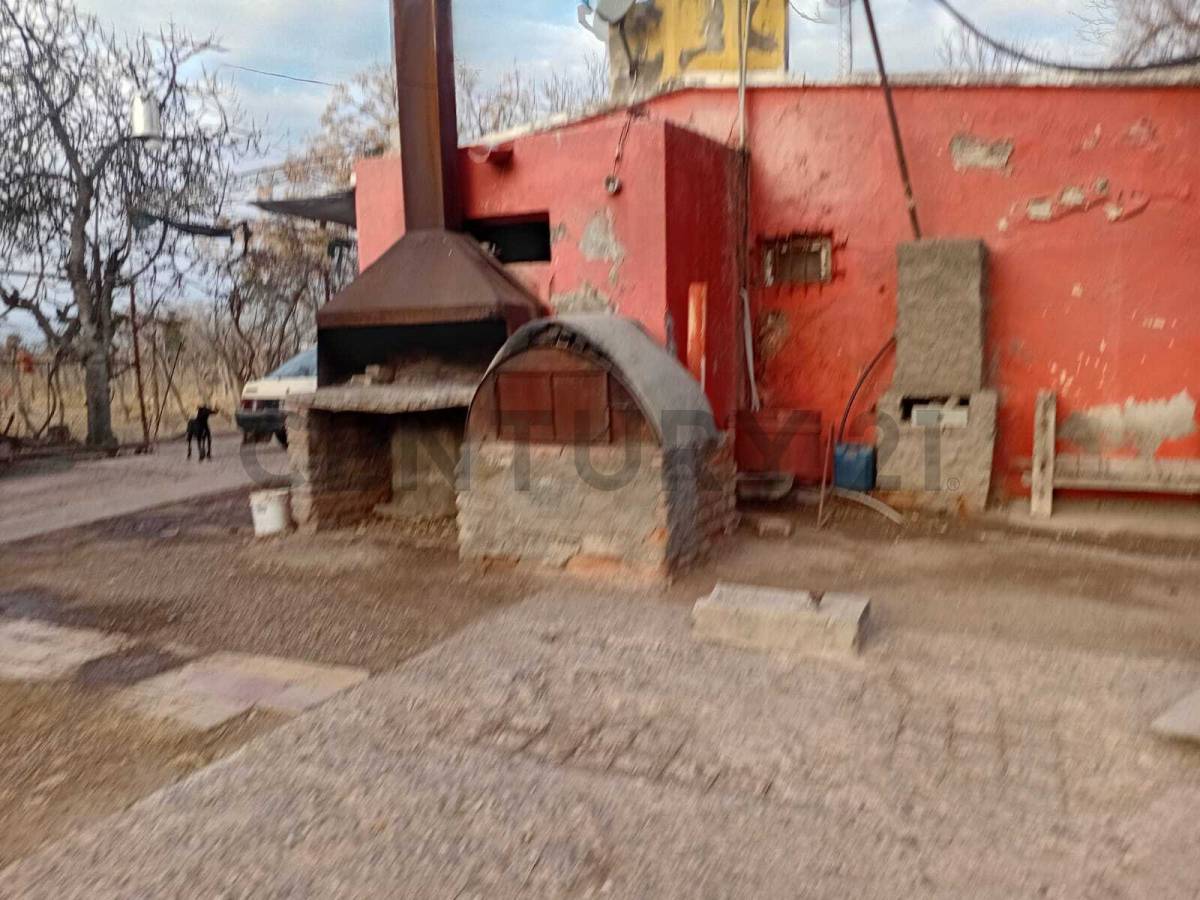 Campo en Venta en San Martin, Mendoza