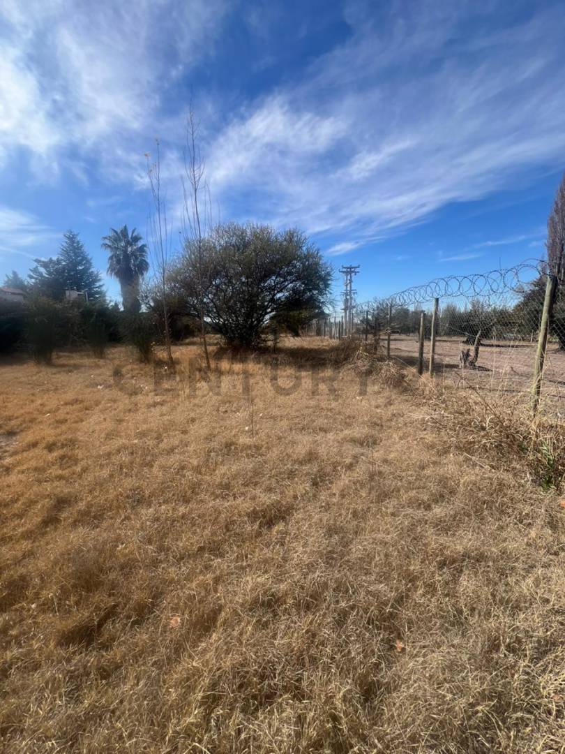 Terreno en Venta en Lujan de Cuyo, Mendoza