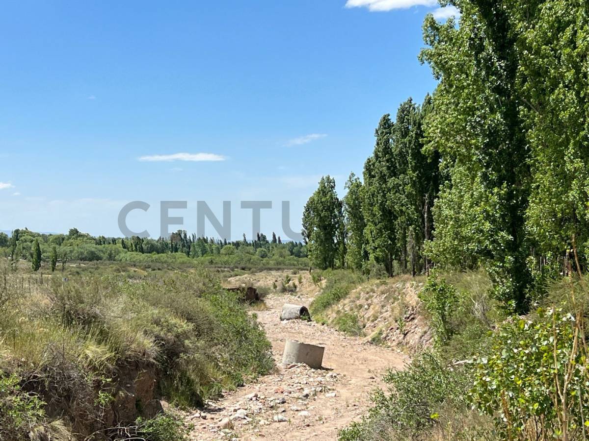 Campo en Venta en Tunuyan, Mendoza