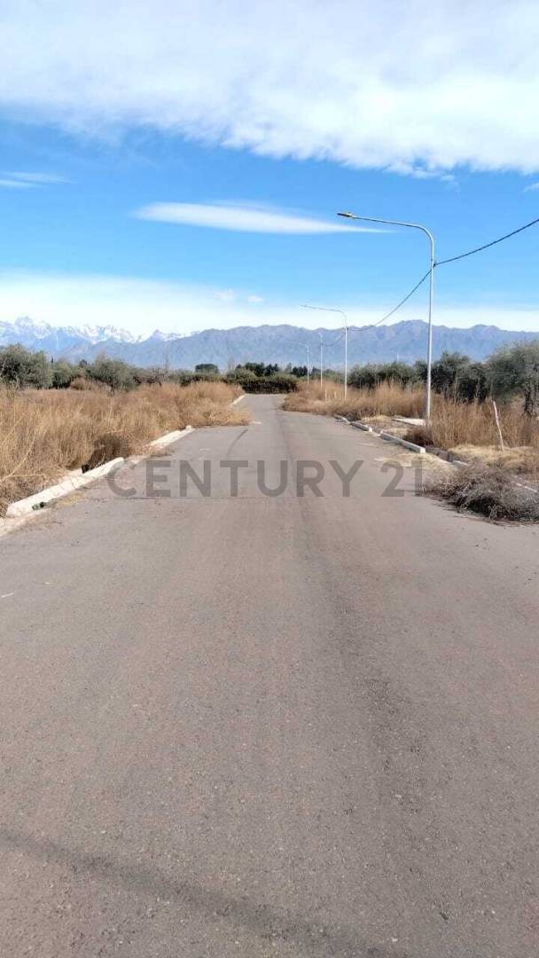 Terreno en Venta en Lujan de Cuyo, Mendoza