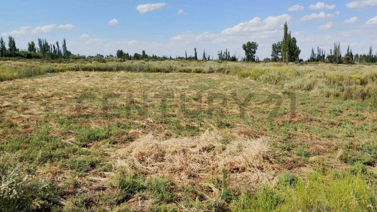 Terreno en Venta en Guaymallen, Mendoza
