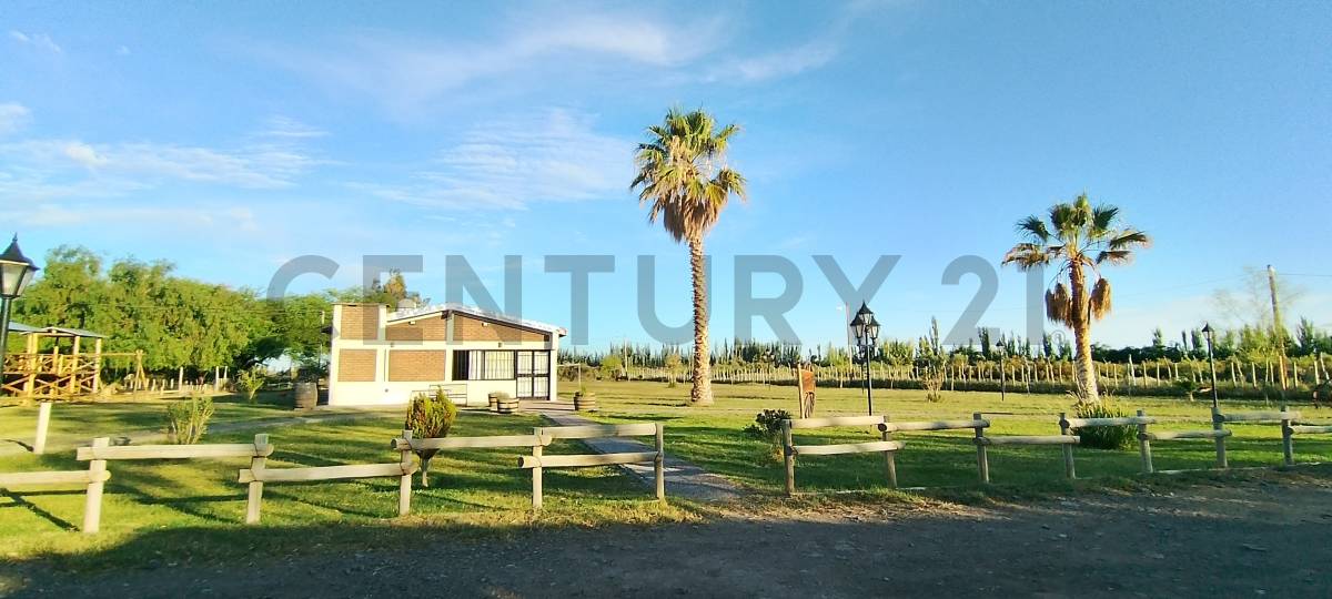 Casa Quinta en Venta en Lavalle, Mendoza