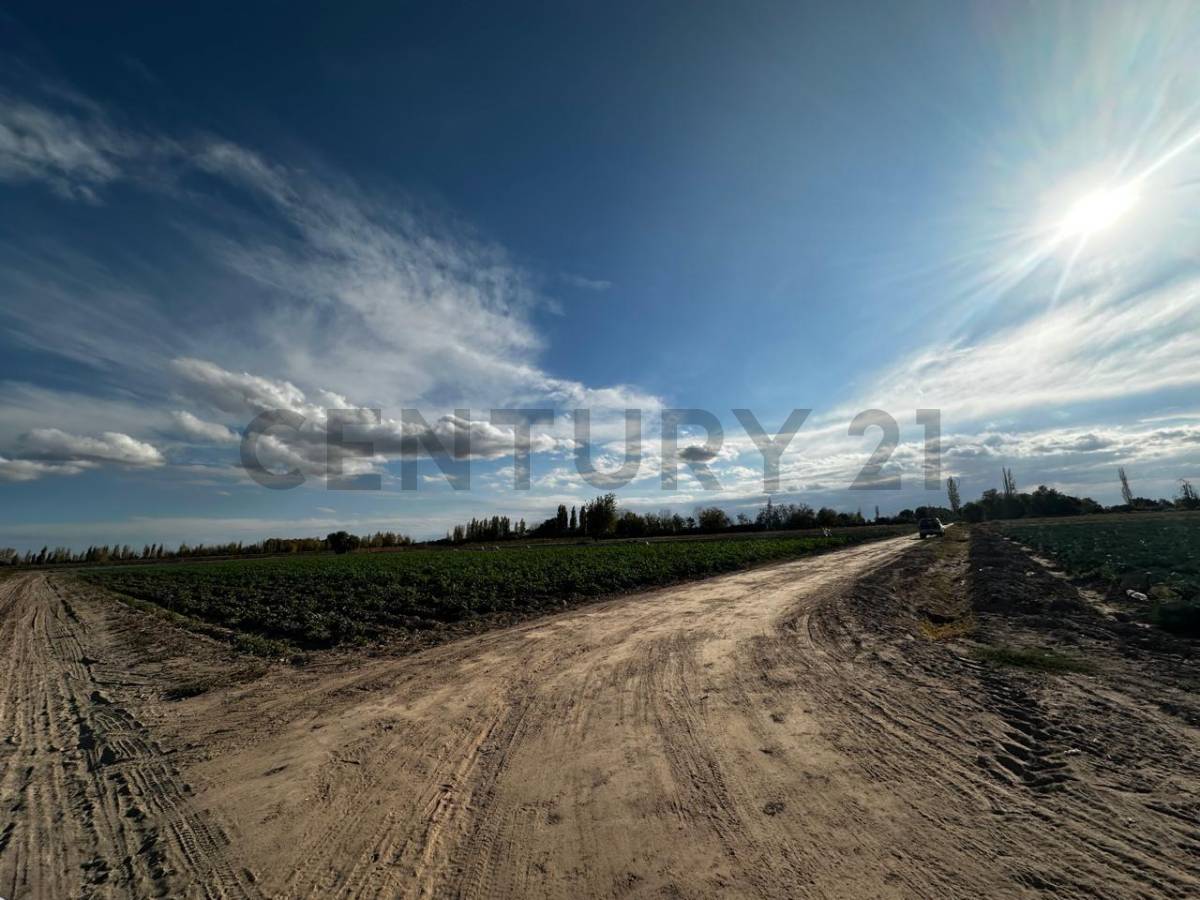 Campo en Venta en San Martin, Mendoza