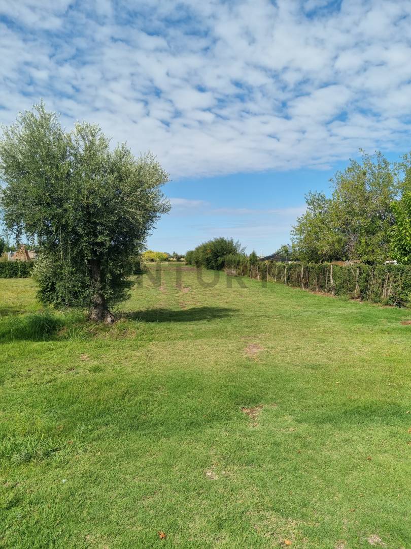 Terreno en Venta en San Rafael, Mendoza