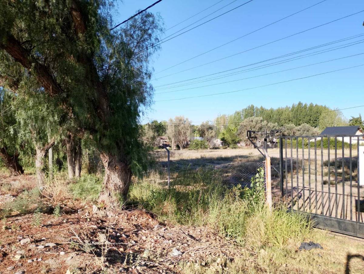 Terreno en Venta en Lujan de Cuyo, Mendoza