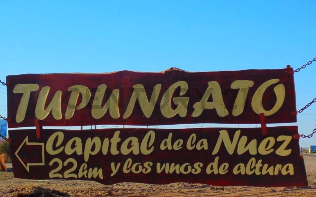 Terreno en Venta en Tupungato, Mendoza