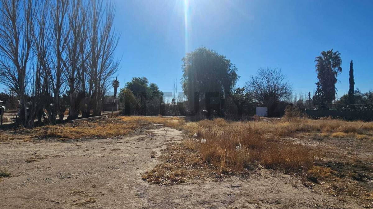 Terreno en Venta en San Martin, Mendoza