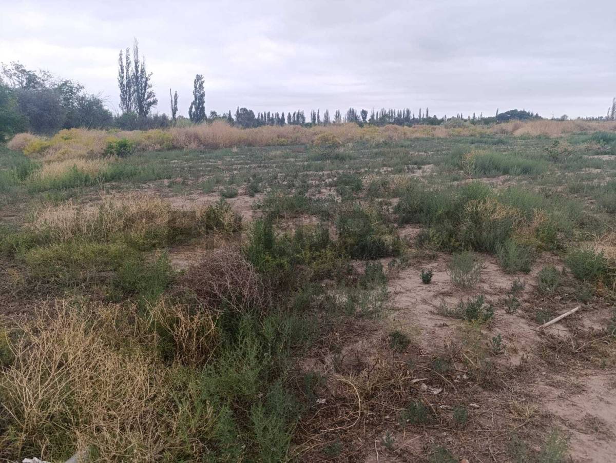 Terreno en Venta en San Martin, Mendoza