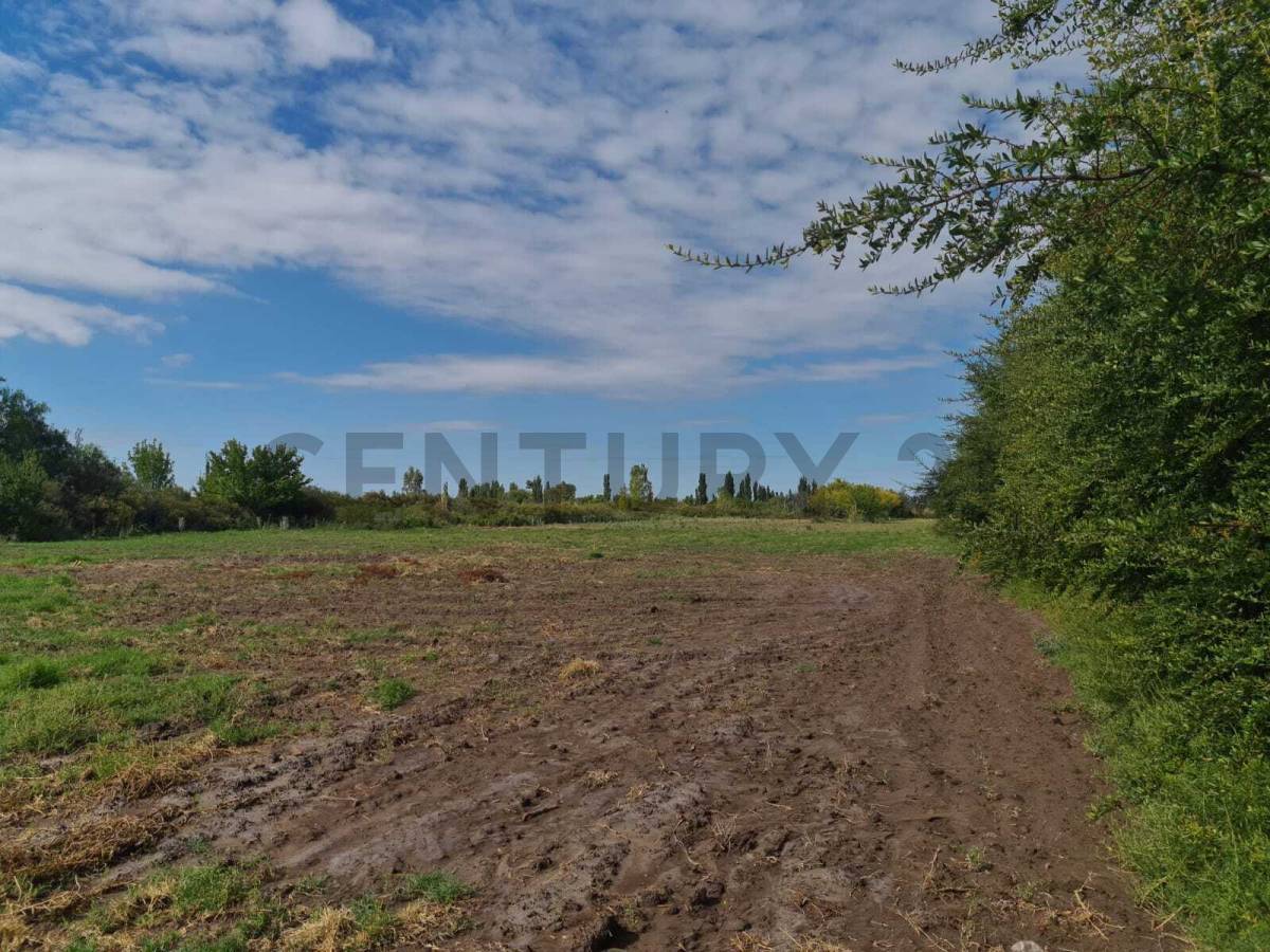 Terreno en Venta en San Rafael, Mendoza