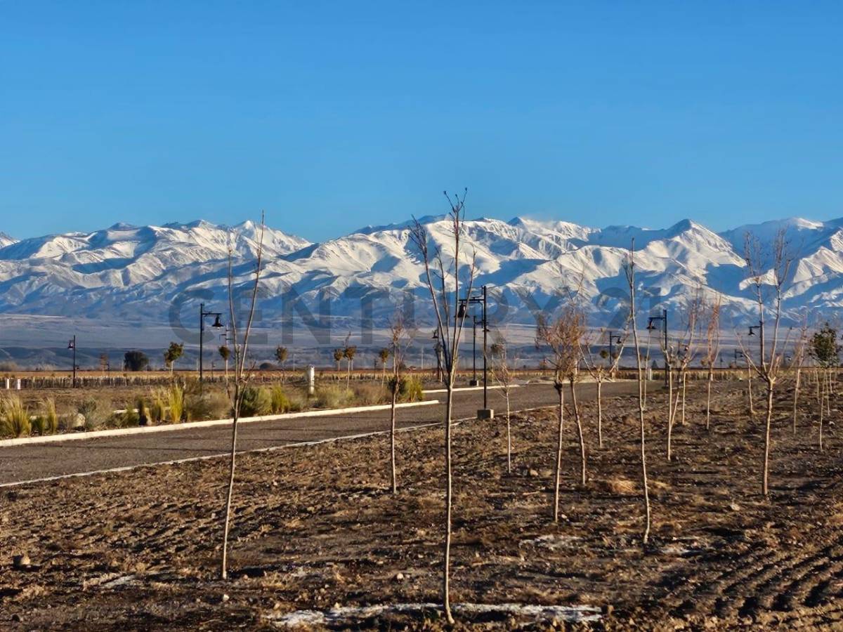 Terreno en Venta en Tupungato, Mendoza