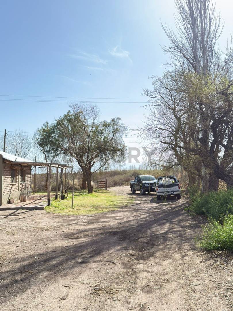 Terreno en Venta en Lavalle, Mendoza
