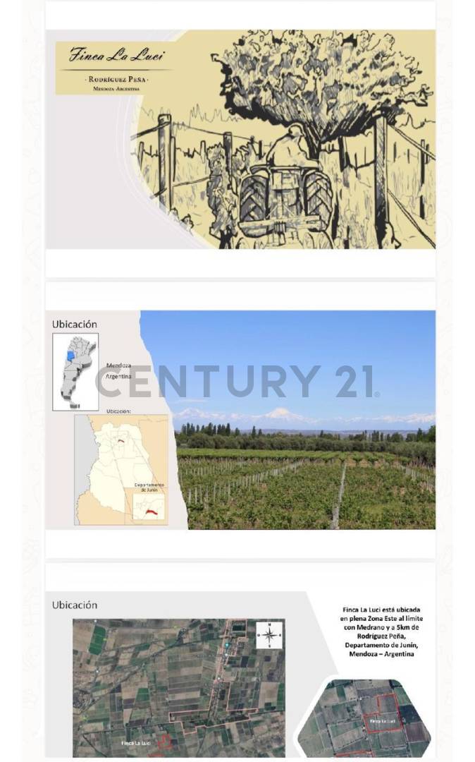 Campo en Venta en Junin, Mendoza