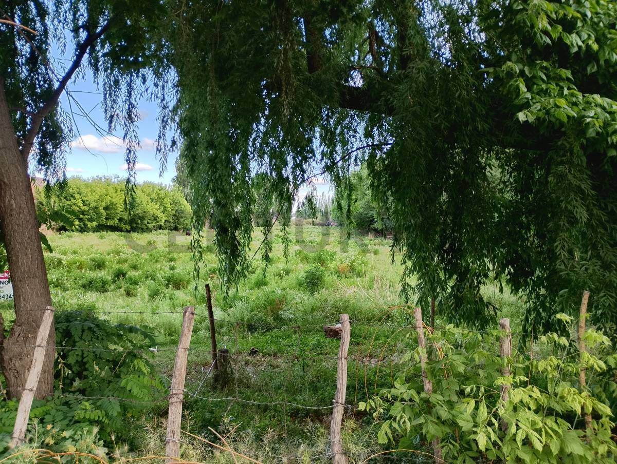 Terreno en Venta en Tupungato, Mendoza