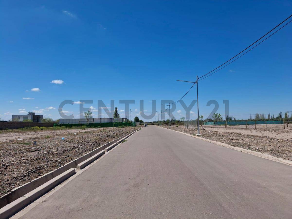 Terreno en Venta en Lujan de Cuyo, Mendoza
