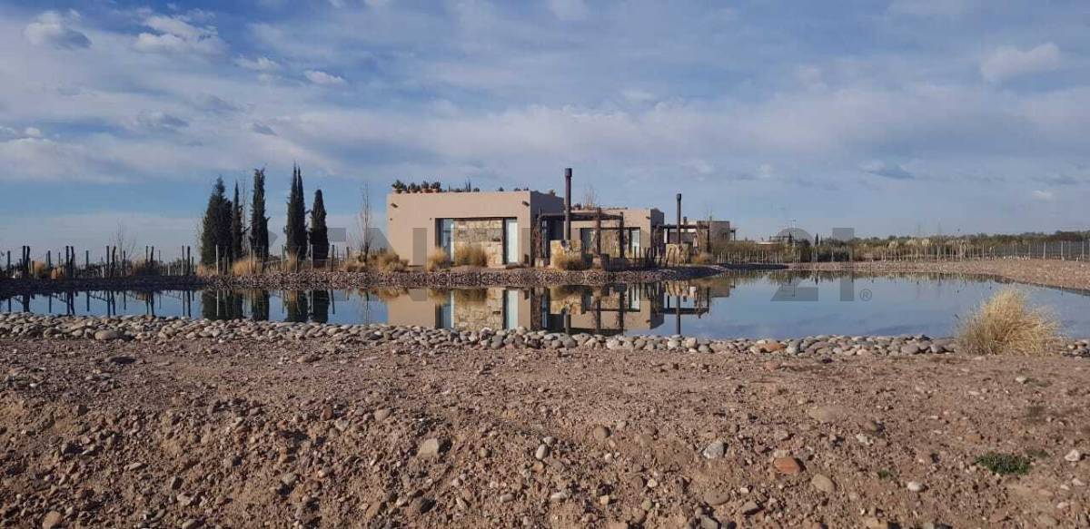 Terreno en Venta en Lujan de Cuyo, Mendoza