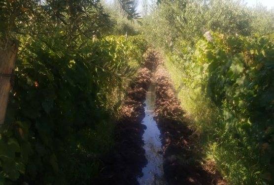 Campo en Venta en Guaymallen, Mendoza