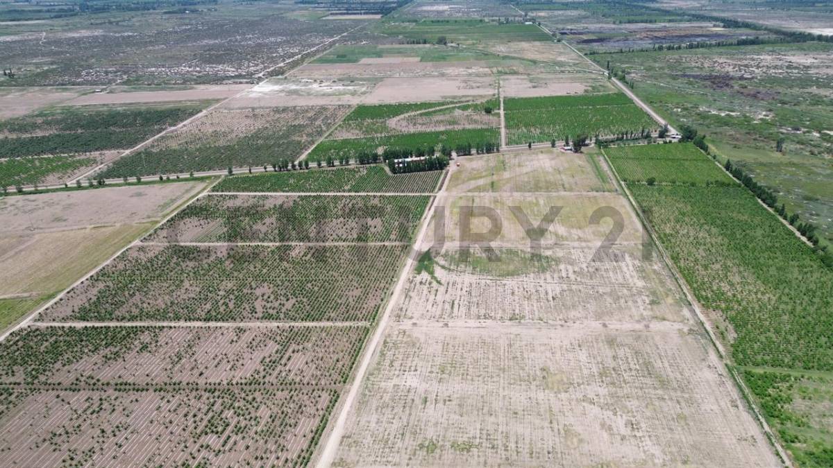 Campo en Venta en Lavalle, Mendoza