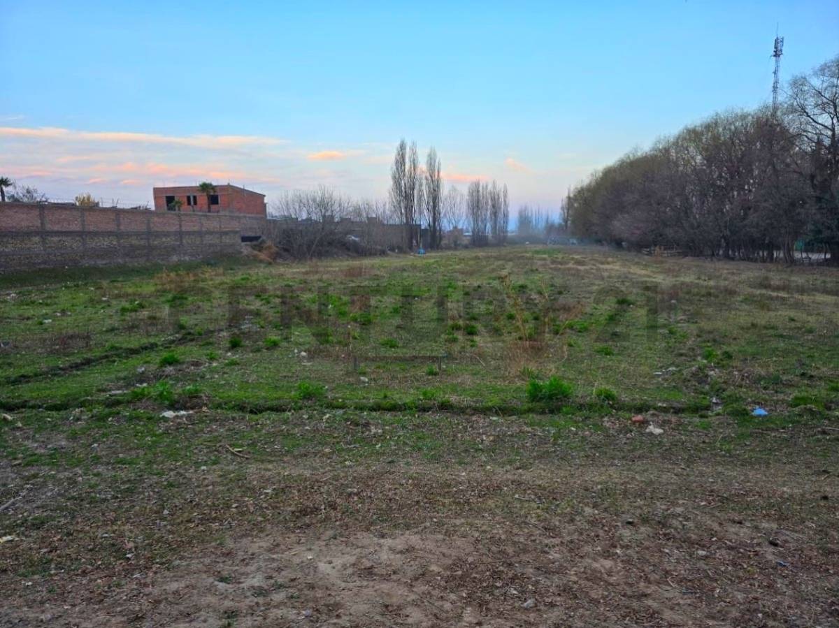 Terreno en Venta en Tupungato, Mendoza