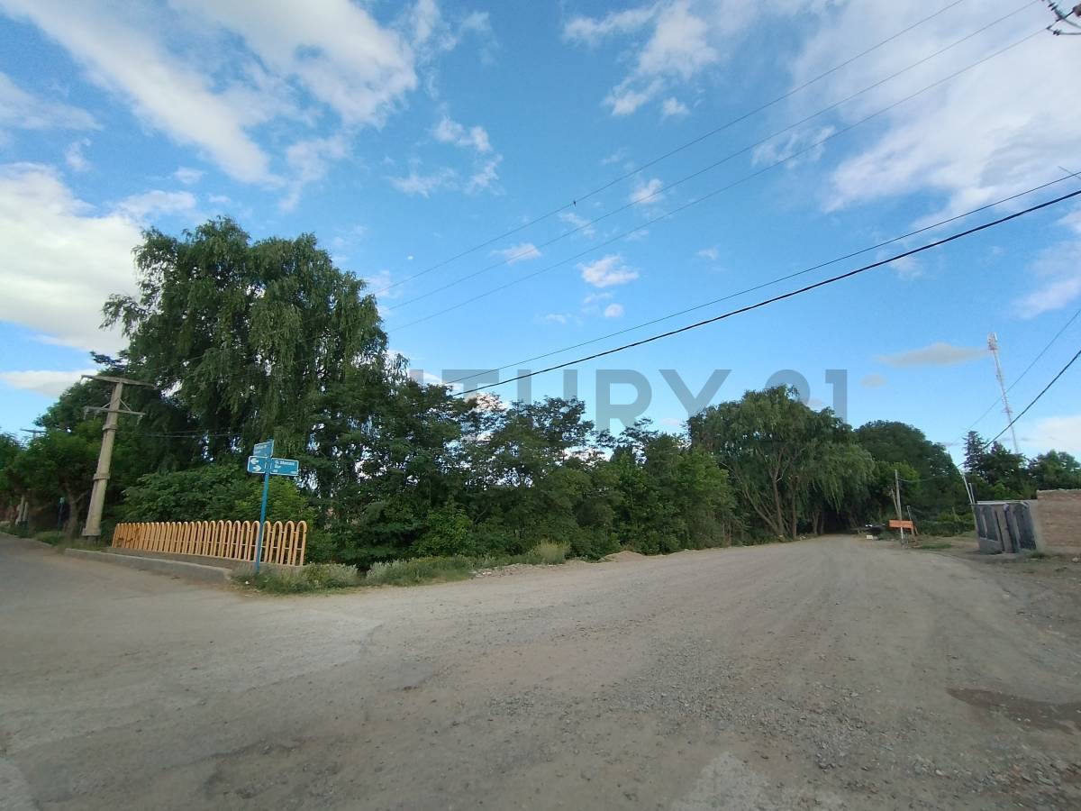 Terreno en Venta en Tupungato, Mendoza