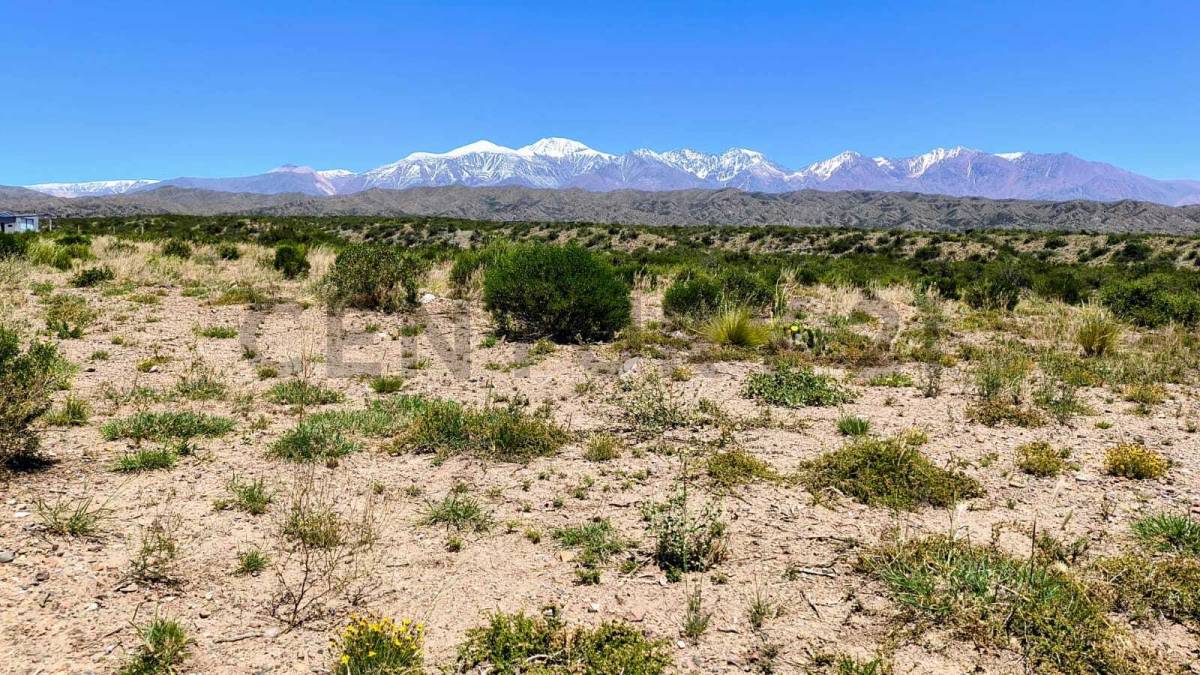 Terreno en Venta en Lujan de Cuyo, Mendoza