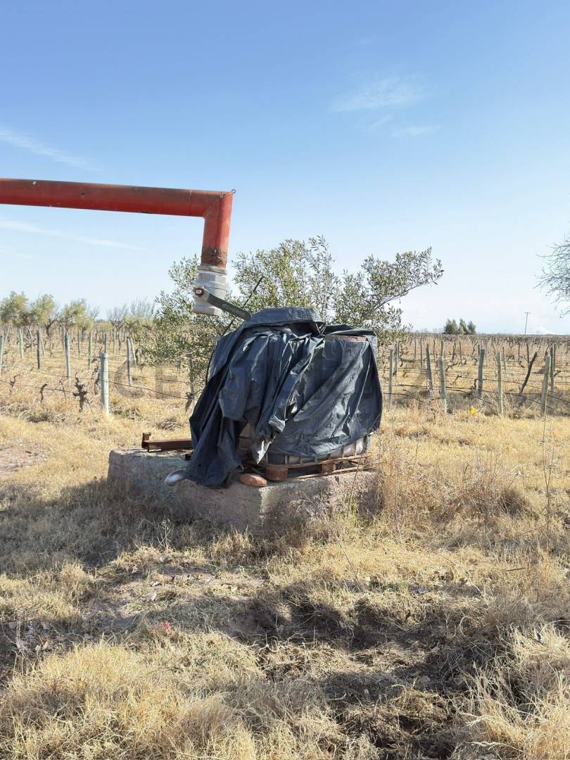 Terreno en Venta en Lavalle, Mendoza
