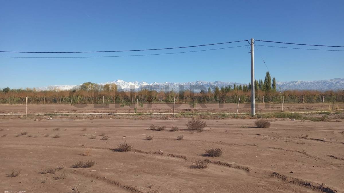 Terreno en Venta en Maipu, Mendoza