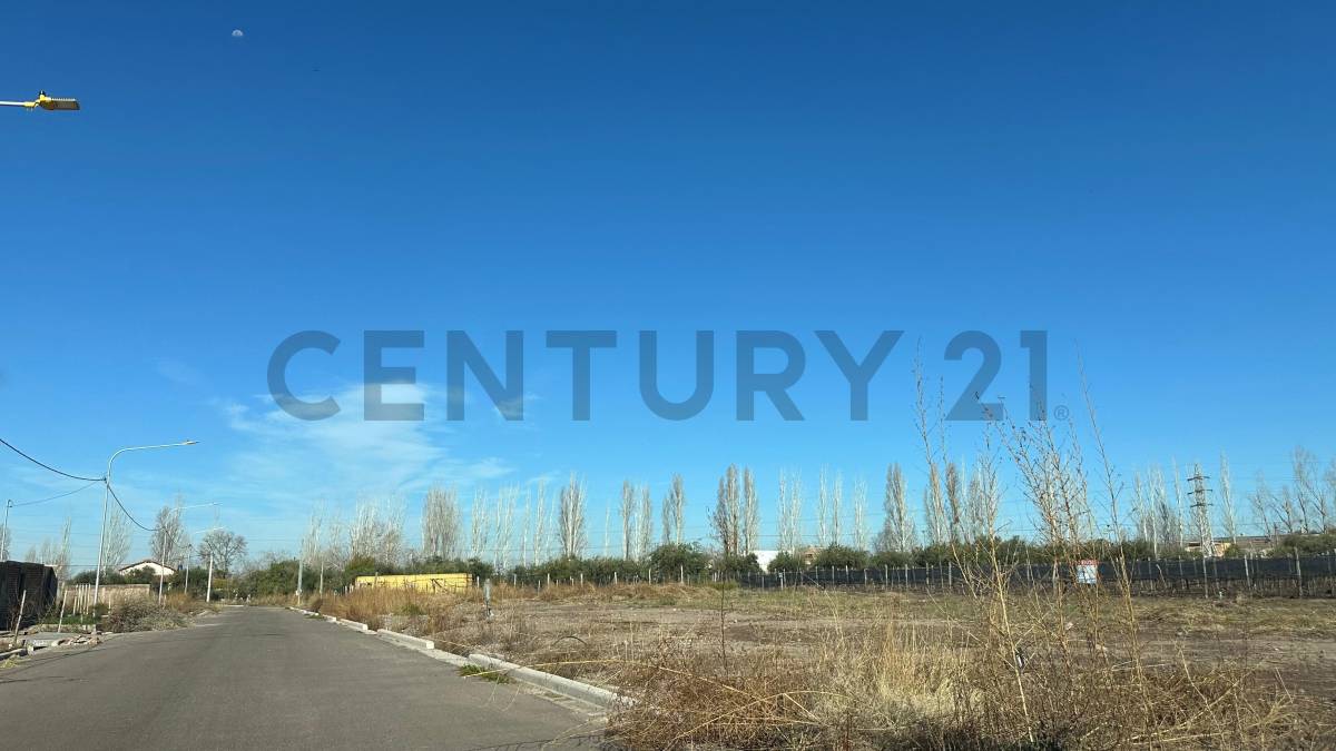 Terreno en Venta en Lujan de Cuyo, Mendoza