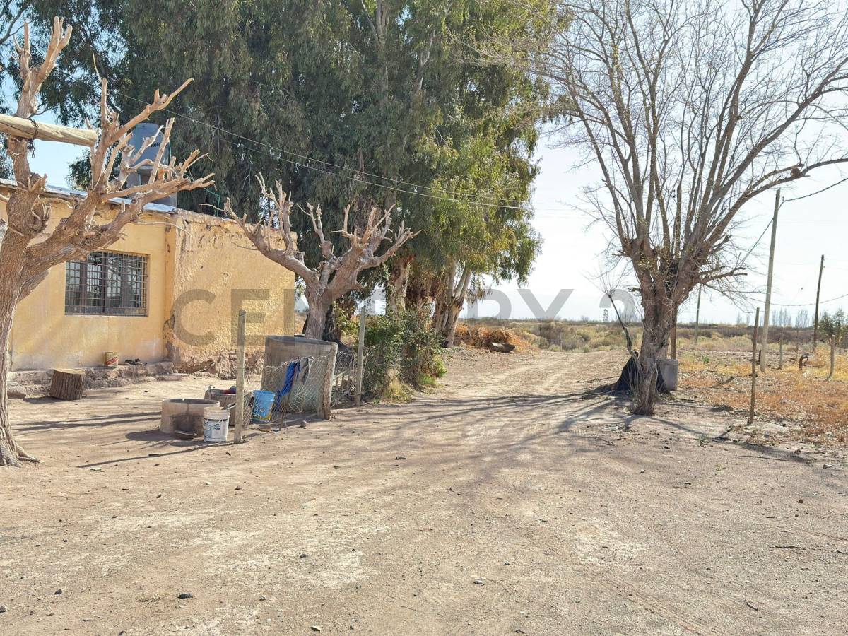 Terreno en Venta en Lavalle, Mendoza