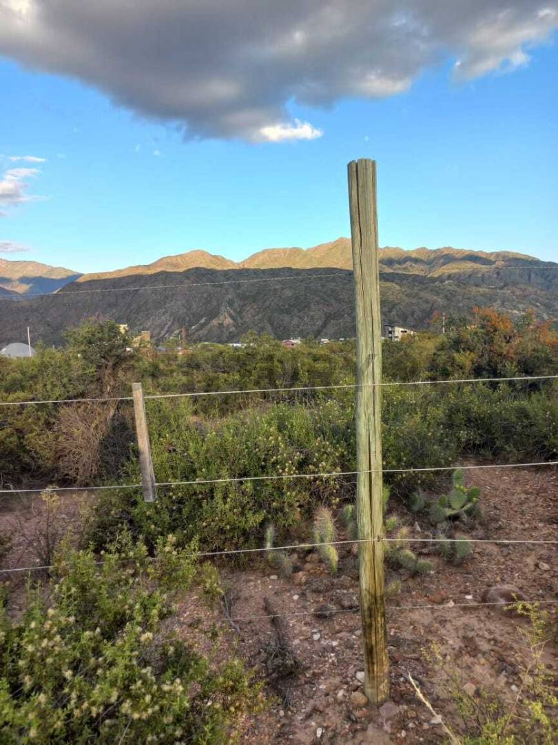 Terreno en Venta en Lujan de Cuyo, Mendoza