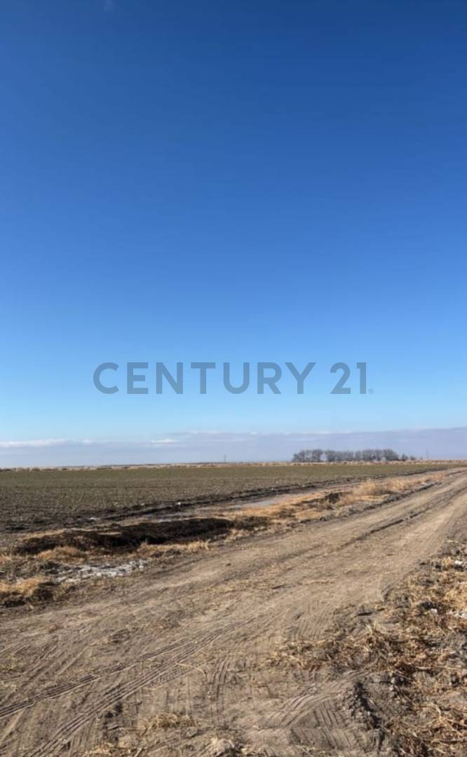 Casa Quinta en Venta en Tupungato, Mendoza