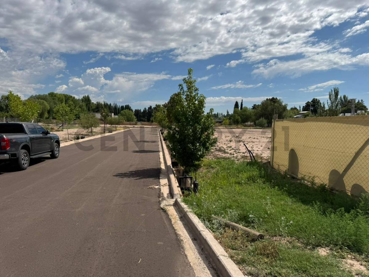 Terreno en Venta en Lujan de Cuyo, Mendoza