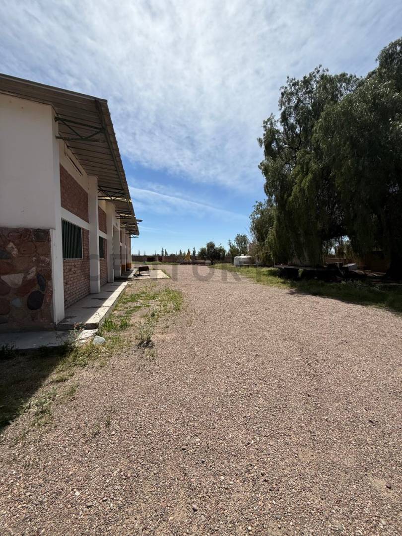 Galpon en Venta en Maipu, Mendoza