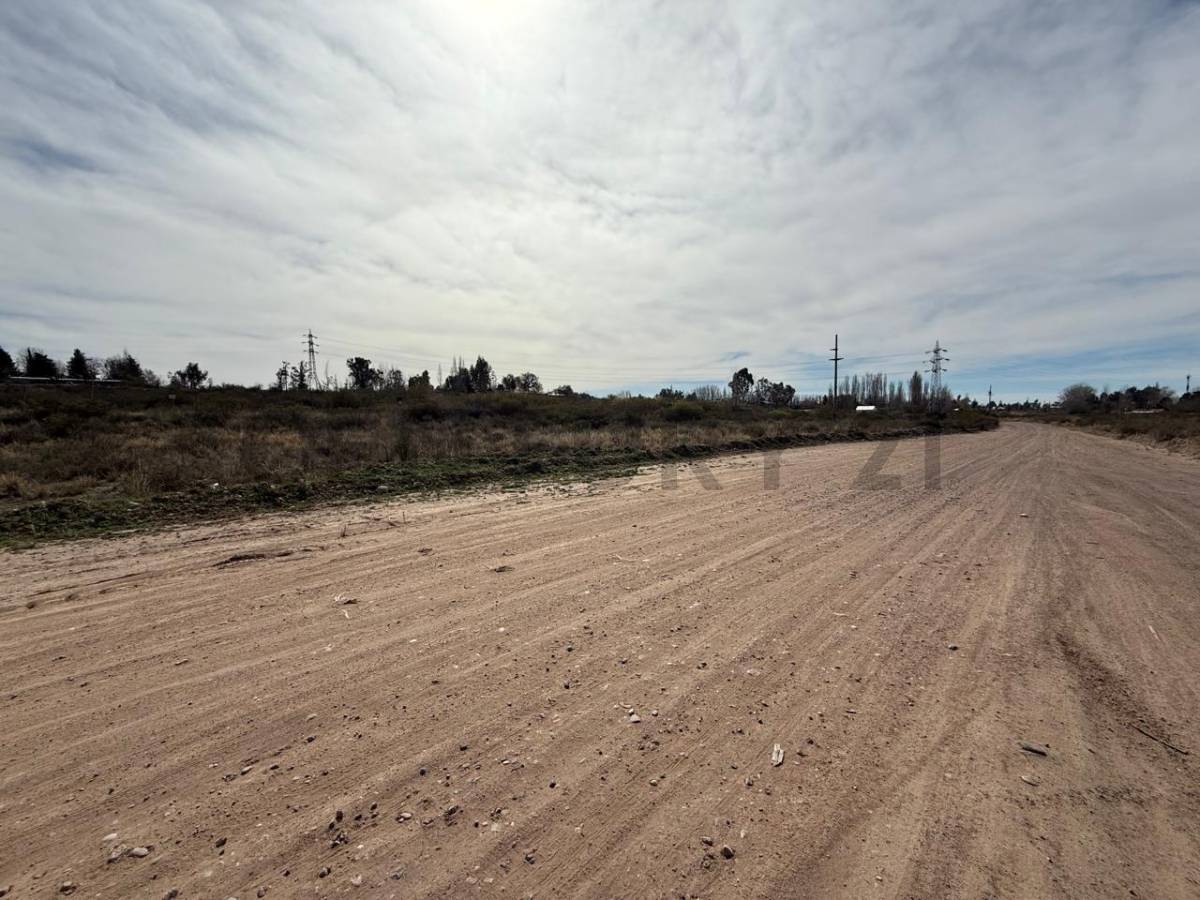 Terreno en Venta en Lujan de Cuyo, Mendoza