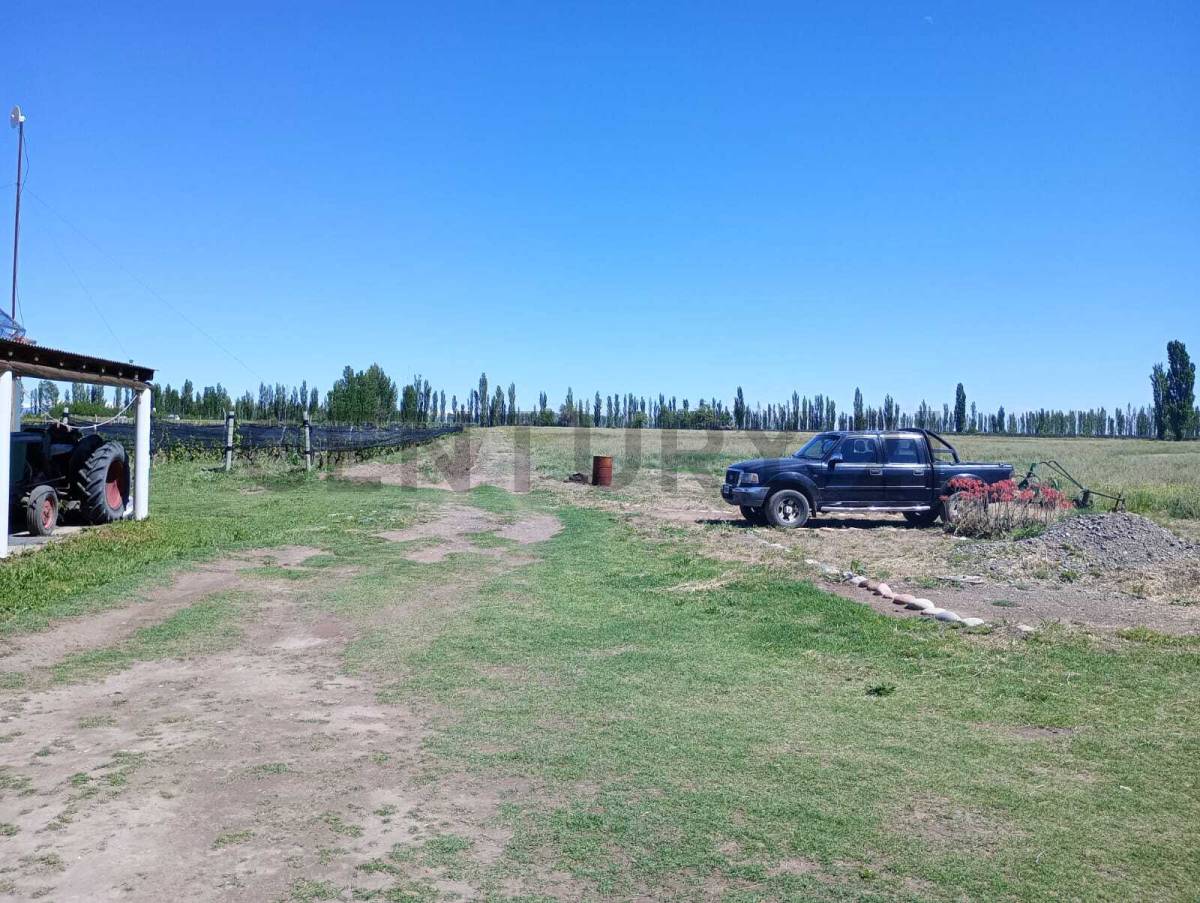 Casa Quinta en Venta en San Rafael, Mendoza