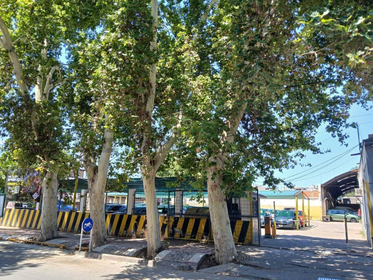 Terreno en Venta en Godoy Cruz, Mendoza