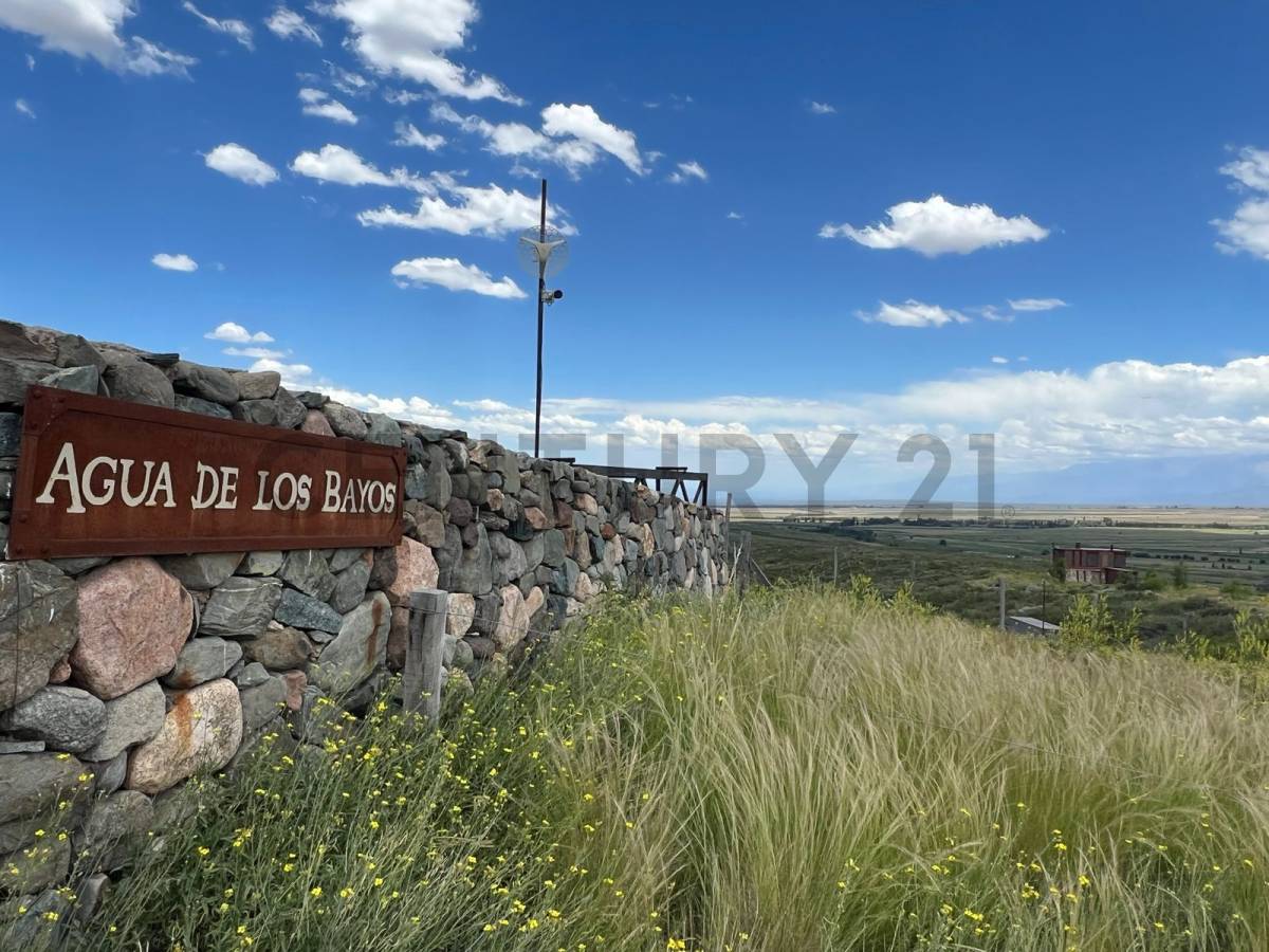 Terreno en Venta en Tupungato, Mendoza