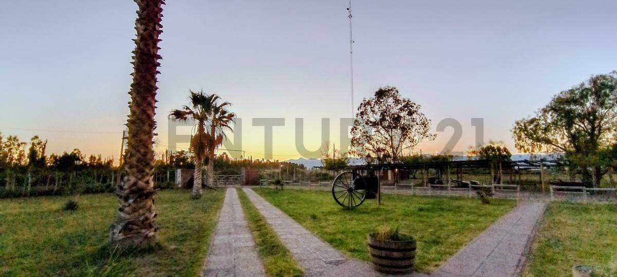 Casa Quinta en Venta en Lavalle, Mendoza