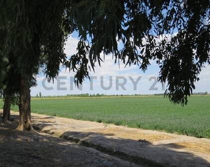 Campo en Venta en 25 de Mayo, San Juan