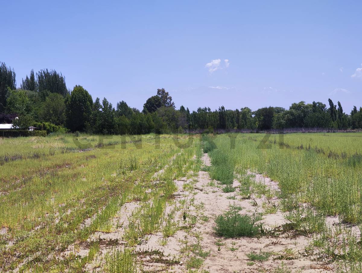 Terreno en Venta en Tunuyan, Mendoza