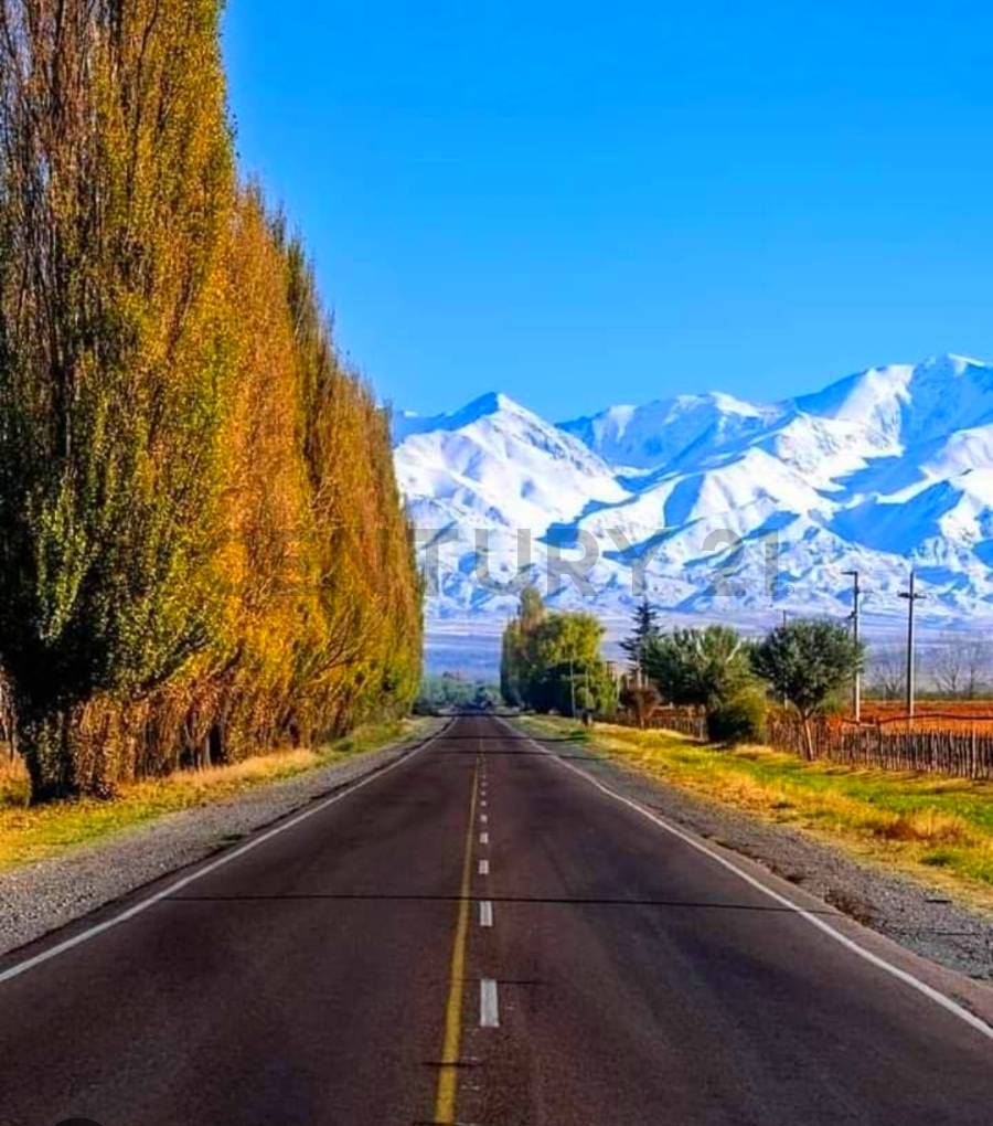 Terreno en Venta en Tupungato, Mendoza