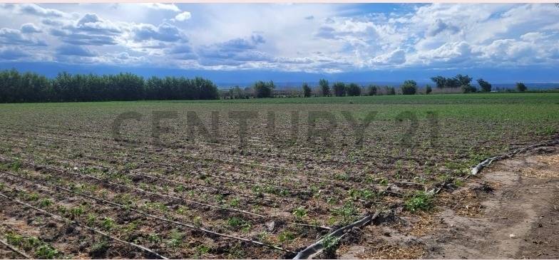 Casa Quinta en Venta en Tupungato, Mendoza