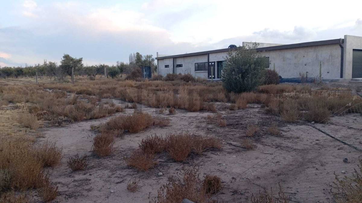 Terreno en Venta en Lujan de Cuyo, Mendoza