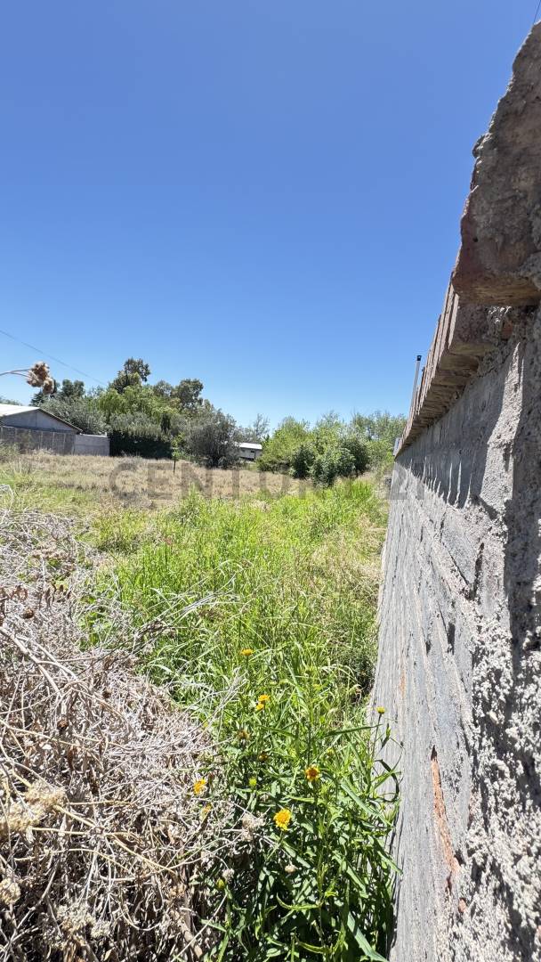 Terreno en Venta en Maipu, Mendoza